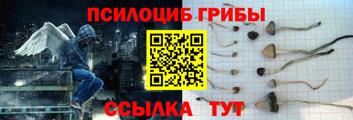 Новокубанск  Галлюциногенные грибы ЛСД  Вход с VPN  Псилоцибиновые грибы ЛСД 